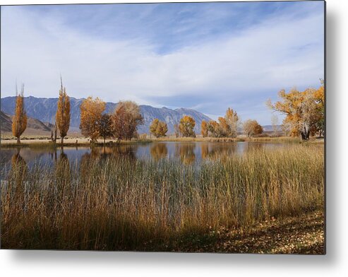 Water Metal Print featuring the photograph Mill Pond by Tammy Pool