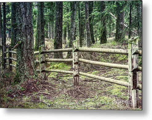 Forest Metal Print featuring the digital art Mima Mounds Forest Fence by Jean OKeeffe Macro Abundance Art