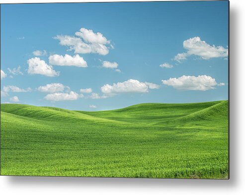 Agriculture Metal Print featuring the photograph Similar to desktop wallpaper on Windows computers. by Usha Peddamatham