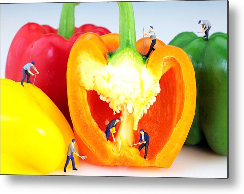 Pop Metal Print featuring the photograph Mining in colorful peppers by Paul Ge
