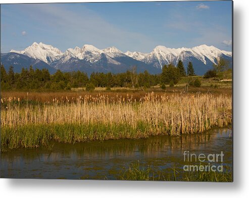 Mission Mountains Metal Print featuring the photograph Mission Mountain Delight by Katie LaSalle-Lowery