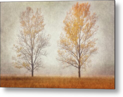 Autumn Metal Print featuring the photograph Misty Duo by Leda Robertson