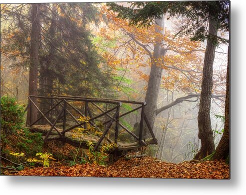 Autumn Metal Print featuring the photograph Misty forest by Ivan Slosar
