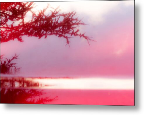 Tree Metal Print featuring the photograph Misty Morn by Bob Cournoyer