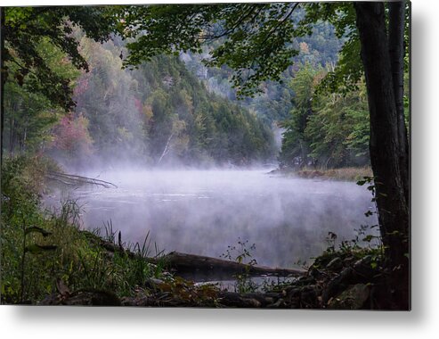Mist Metal Print featuring the photograph Misty Morning At Pond's Shore by Ann Moore