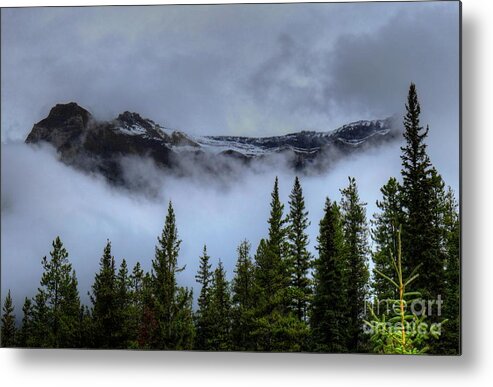 Athabasca River Metal Print featuring the photograph Misty Morning Jasper National Park by Wayne Moran