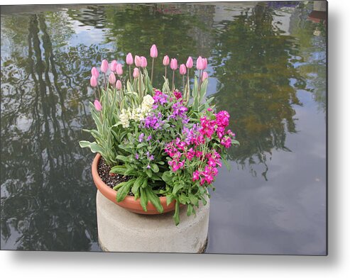 Flowers Metal Print featuring the photograph Mixed Flower Planter by Allen Nice-Webb