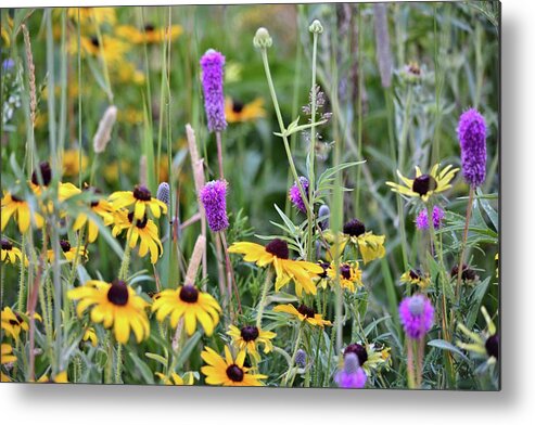 Purple Prairie Clover Metal Print featuring the photograph Mixed Natural Bouquet 2 by Bonfire Photography