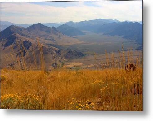 Landscape Metal Print featuring the photograph Monitor Pass view by Brad Scott