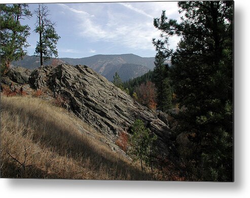 Montana Metal Print featuring the photograph Montana - Wilderness by DArcy Evans