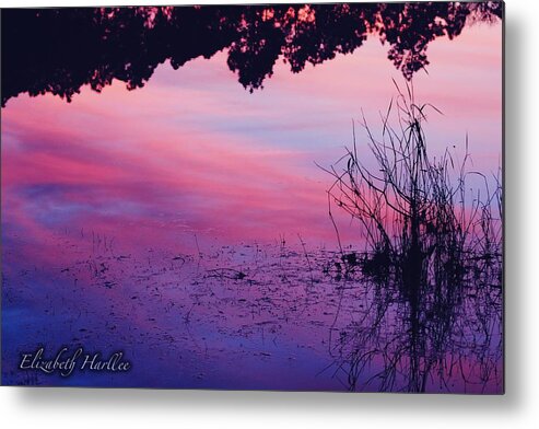  Metal Print featuring the photograph Mood Lake by Elizabeth Harllee