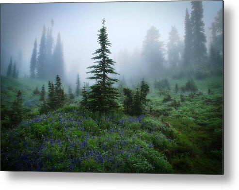 Moody Myrtle Falls Trail At Mount Rainier Metal Print featuring the photograph Moody Myrtle Falls Trail at Mount Rainier by Lynn Hopwood