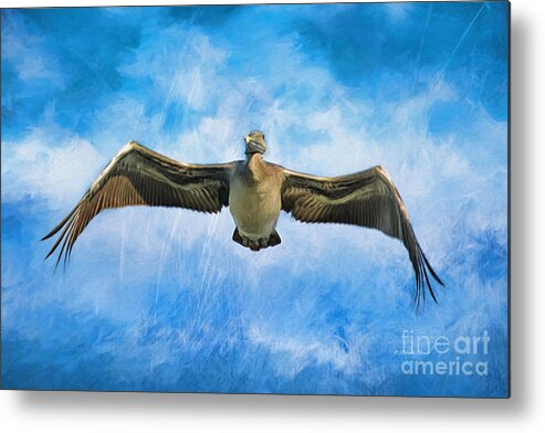 Pelican Metal Print featuring the painting Moody Pelican by Deborah Benoit