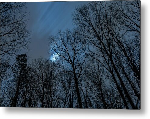 Backyard Metal Print featuring the photograph Moonlit Sky by Rod Kaye