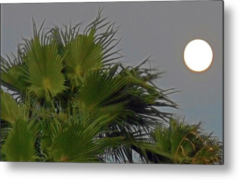  Skies Metal Print featuring the photograph Moonstruck 3 by Ron Kandt