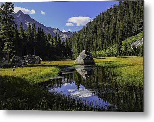 High Quality Metal Print featuring the photograph Morning at Grouse Meadow by Doug Scrima