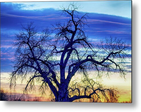 Blues Metal Print featuring the photograph Morning Blues by James BO Insogna