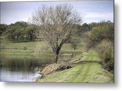  Metal Print featuring the photograph Morning Calm by Wendy Carrington