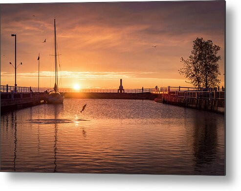 Marina Metal Print featuring the photograph Morning Catch by James Meyer