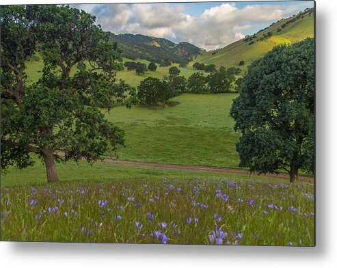 Landscape Metal Print featuring the photograph Morning Flowers at Round Valley by Marc Crumpler