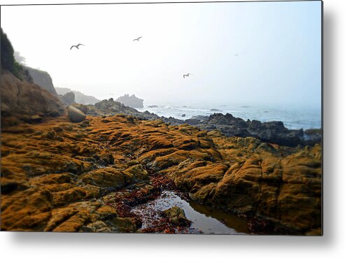 Cambria Metal Print featuring the photograph Morning Fog At Moonstone Beach - Cambria by Glenn McCarthy Art and Photography