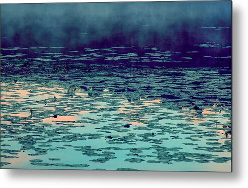 Morning Fog In The Lily Patch In Blues Metal Print featuring the photograph Morning Fog in the Lily Patch in Blues by Bonnie Follett