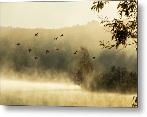 Haley Pond Metal Print featuring the photograph Morning fog on Haley Pond in Rangeley Maine by Jeff Folger