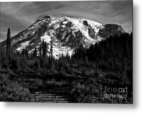 Black And White Metal Print featuring the photograph Morning Glory At Mt. Rainier - Black And White by Adam Jewell
