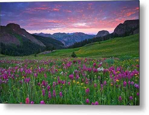 Colorado Metal Print featuring the photograph Morning Glow by Tad Bowman