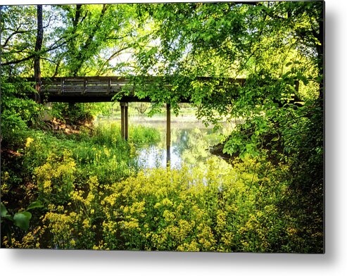 Appalachia Metal Print featuring the photograph Morning Golden Glow by Debra and Dave Vanderlaan