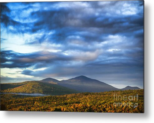 Maine Metal Print featuring the photograph Morning Light by Alana Ranney