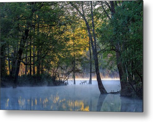 Florida Metal Print featuring the photograph Morning Light at Ginnie Springs by Stefan Mazzola