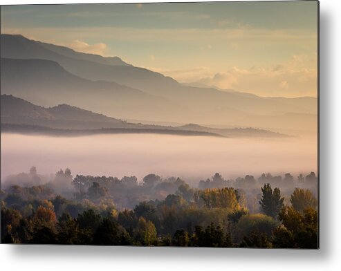 Peaceful Metal Print featuring the photograph Morning Light by Gary Migues