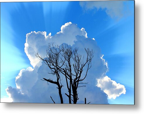 Cloud Metal Print featuring the photograph Morning Magnificence by Larry Beat