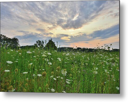 Sunflowers Metal Print featuring the photograph Morning Sky over Pleasant Valley by Ray Mathis