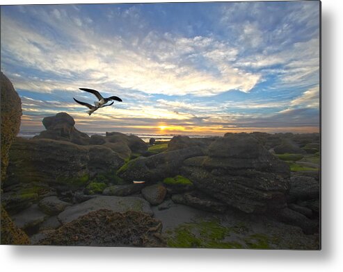 Star Metal Print featuring the photograph Morning Song by Robert Och