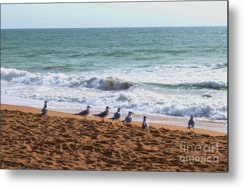 Beach Metal Print featuring the photograph Morning Surf Portugal by Eddie Barron
