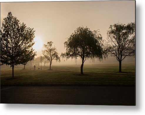 Connecticut Metal Print featuring the photograph Morning Walk by Thomas Lavoie