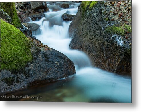 Nature Metal Print featuring the photograph Moss and Motion by Scott Breazeale