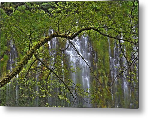 Waterfall Metal Print featuring the photograph Mossbrae Falls by Ryan Workman Photography