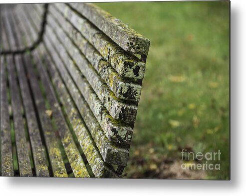 Moss Metal Print featuring the photograph Mossy Bench by David Bearden