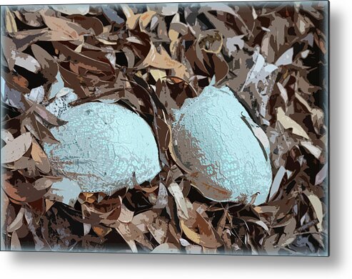 Bra Metal Print featuring the photograph Mother Earth by D Patrick Miller