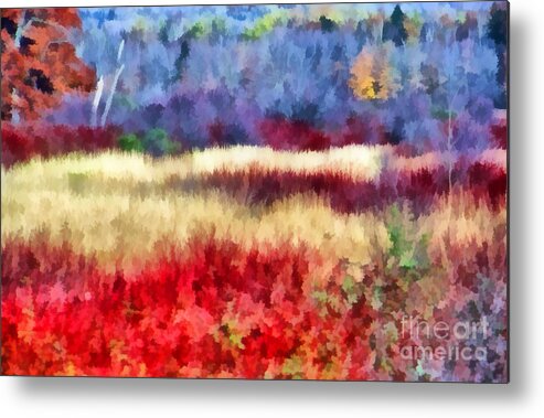 Field Metal Print featuring the photograph Mother Nature's Artistry by Carol Randall