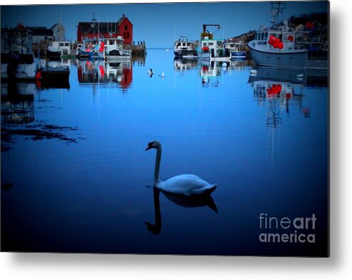 Swan Metal Print featuring the photograph Motif #1 by Hanni Stoklosa