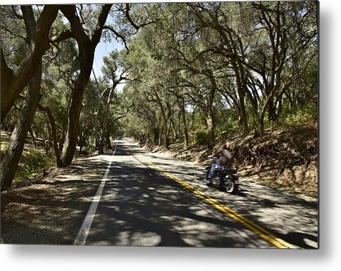 Linda Brody Metal Print featuring the photograph Motorcyclist on Live Oak Canyon Road by Linda Brody