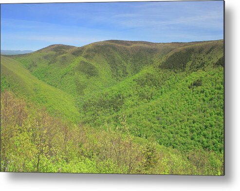 Spring Metal Print featuring the photograph Mount Greylock Stony Ledge Spring Leafout by John Burk