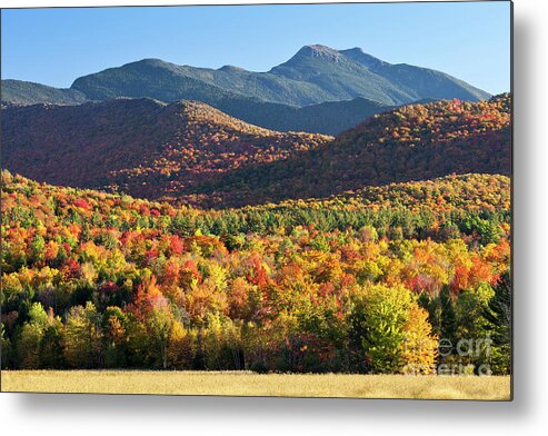 Fall Metal Print featuring the photograph Mount Mansfield Fall by Alan L Graham