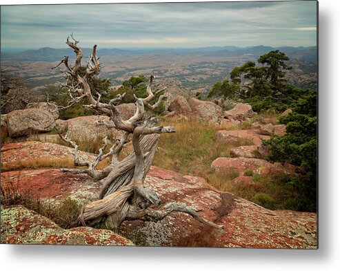 Mountain Metal Print featuring the photograph Mount Scott View IV by Ricky Barnard