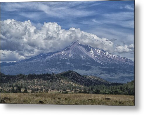 Summer Time Metal Print featuring the photograph Mount Shasta 9950 by Tom Kelly