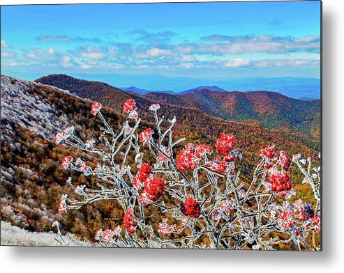 Blue Ridge Mountains Metal Print featuring the photograph Mountain Ashe by Dale R Carlson